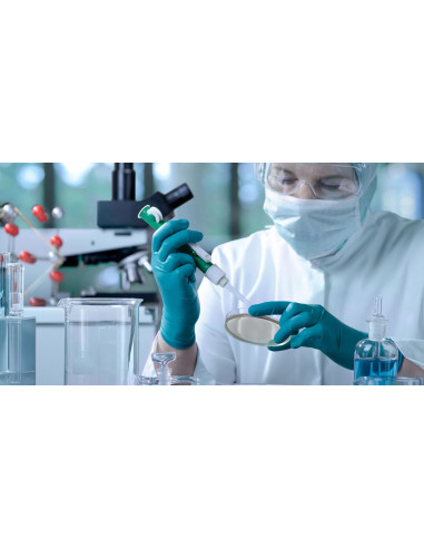 Labor HyAmino Labor HyAmino